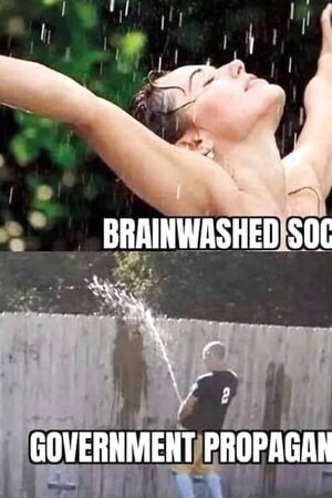 Funny pics and memes (23)