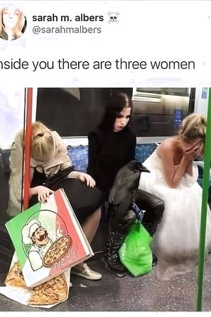 Funny pics and memes (19)