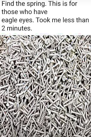 Funny pics and memes (18)