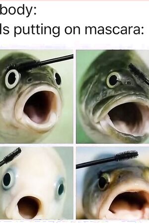 Funny pics and memes (18)