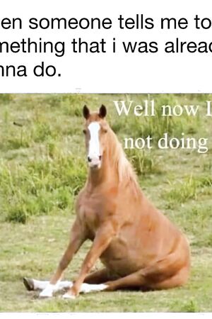 Funny pics and memes (18)