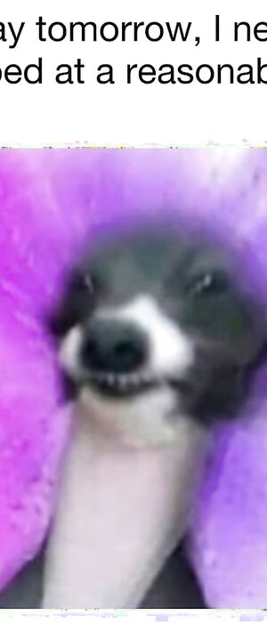 Funny pics and memes (3)