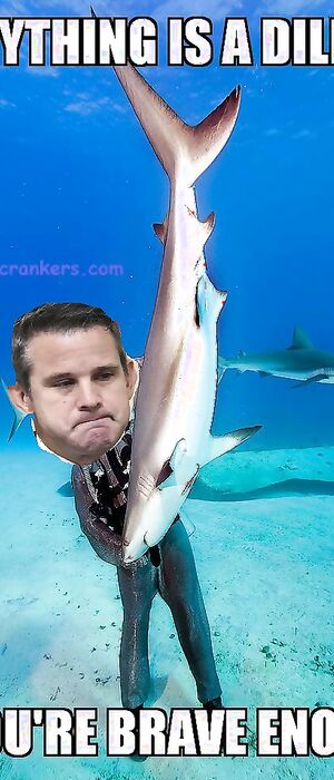 Funny pics and memes (1)