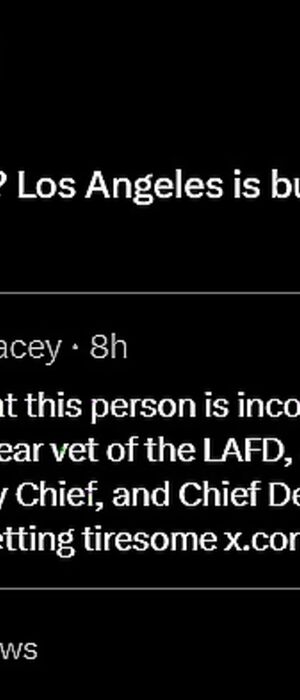 Funny pics and memes (1)