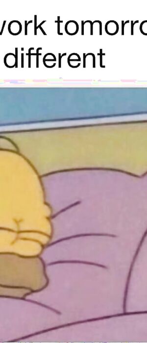 Funny pics and memes (2)