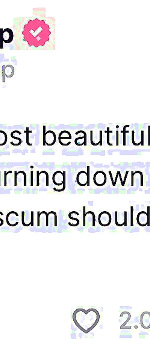 Funny pics and memes (4)