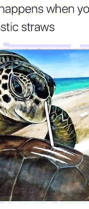 Funny pics and memes (7)