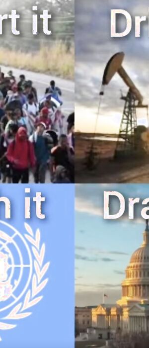 Funny pics and memes (10)