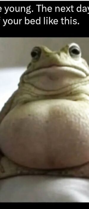 Funny pics and memes (17)