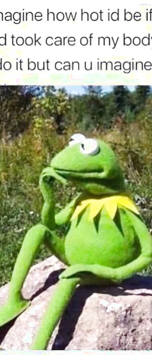 Funny pics and memes (2)