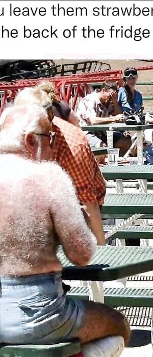 Funny pics and memes (15)