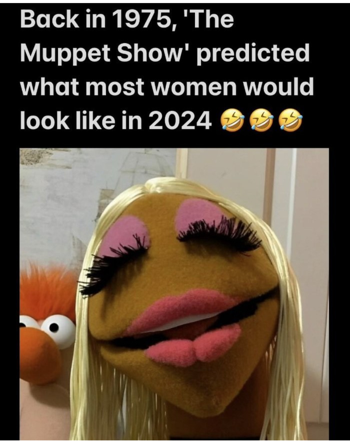 Funny pics and memes (3)