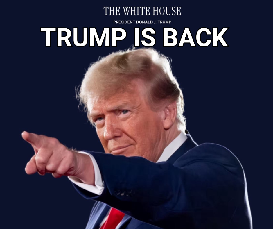 Funny pics and memes (3)