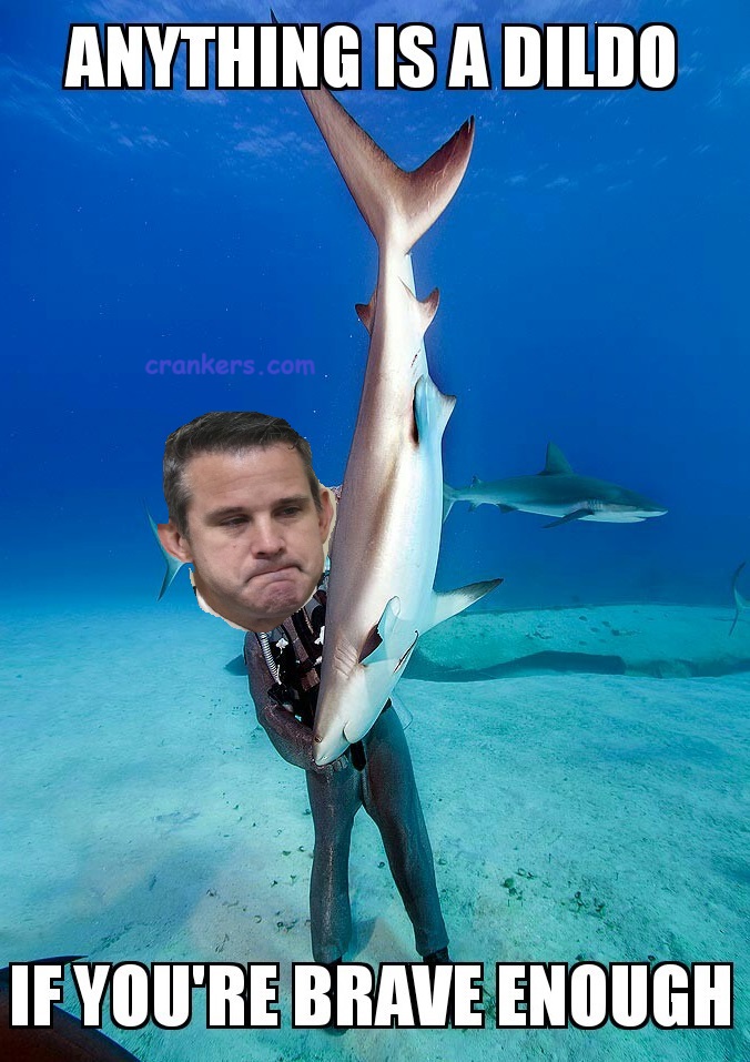 Funny pics and memes (1)