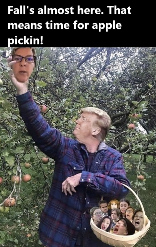 Funny pics and memes (1)