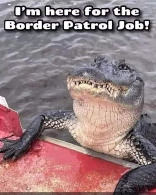 Funny pics and memes (1)