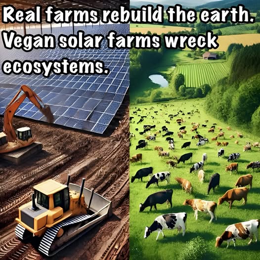 Funny pics and memes (21)