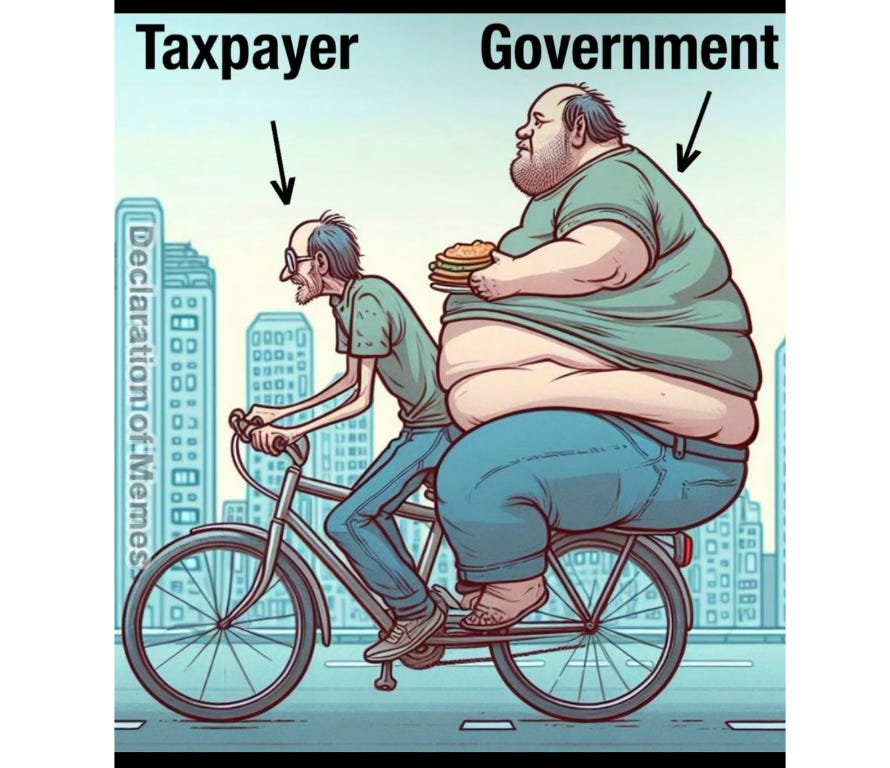 Funny pics and memes (8)