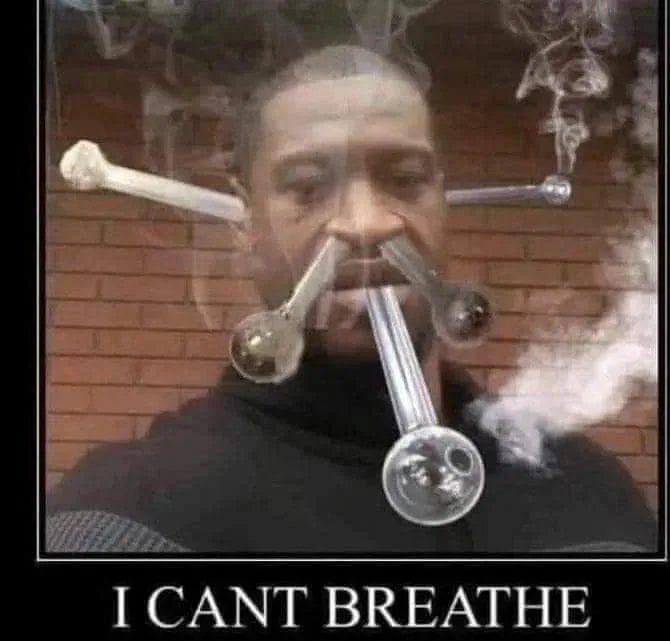 Funny pics and memes (20)