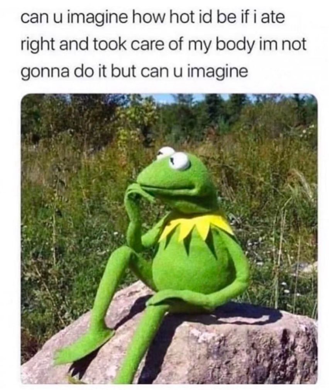 Funny pics and memes (2)