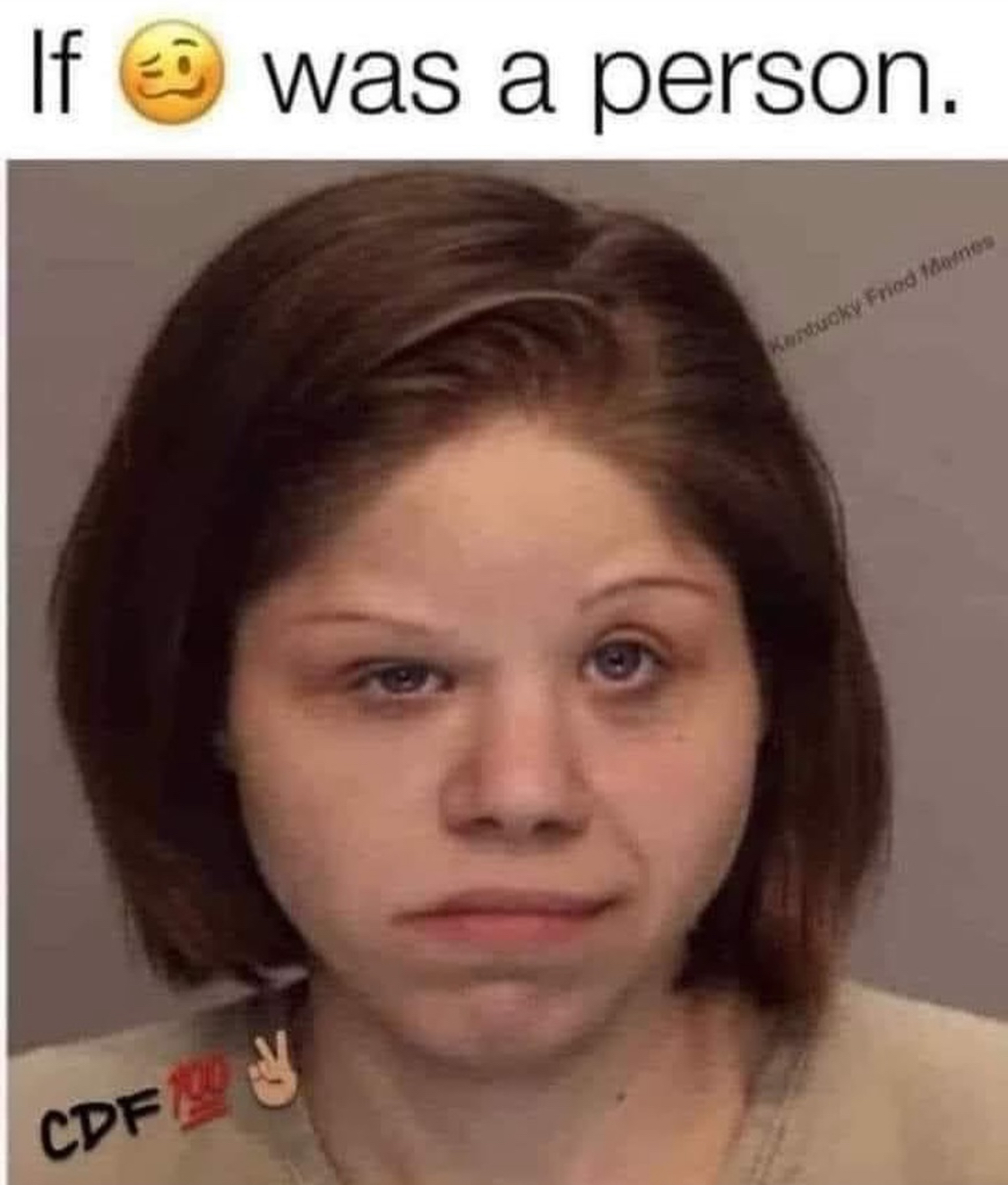 Funny pics and memes (2)