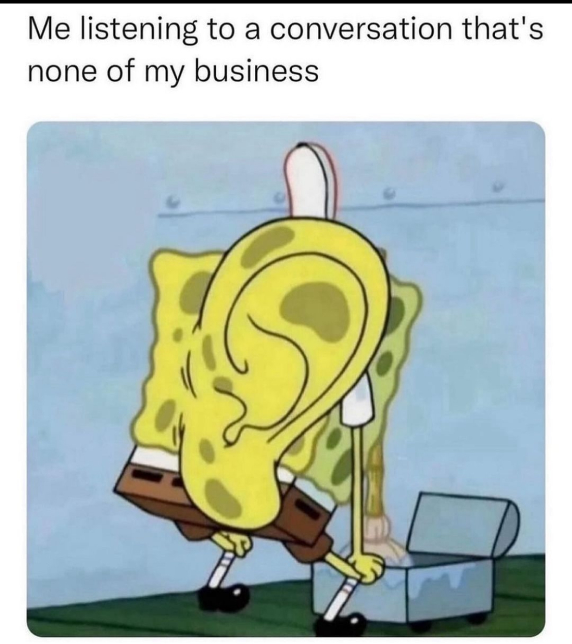 Funny pics and memes (2)