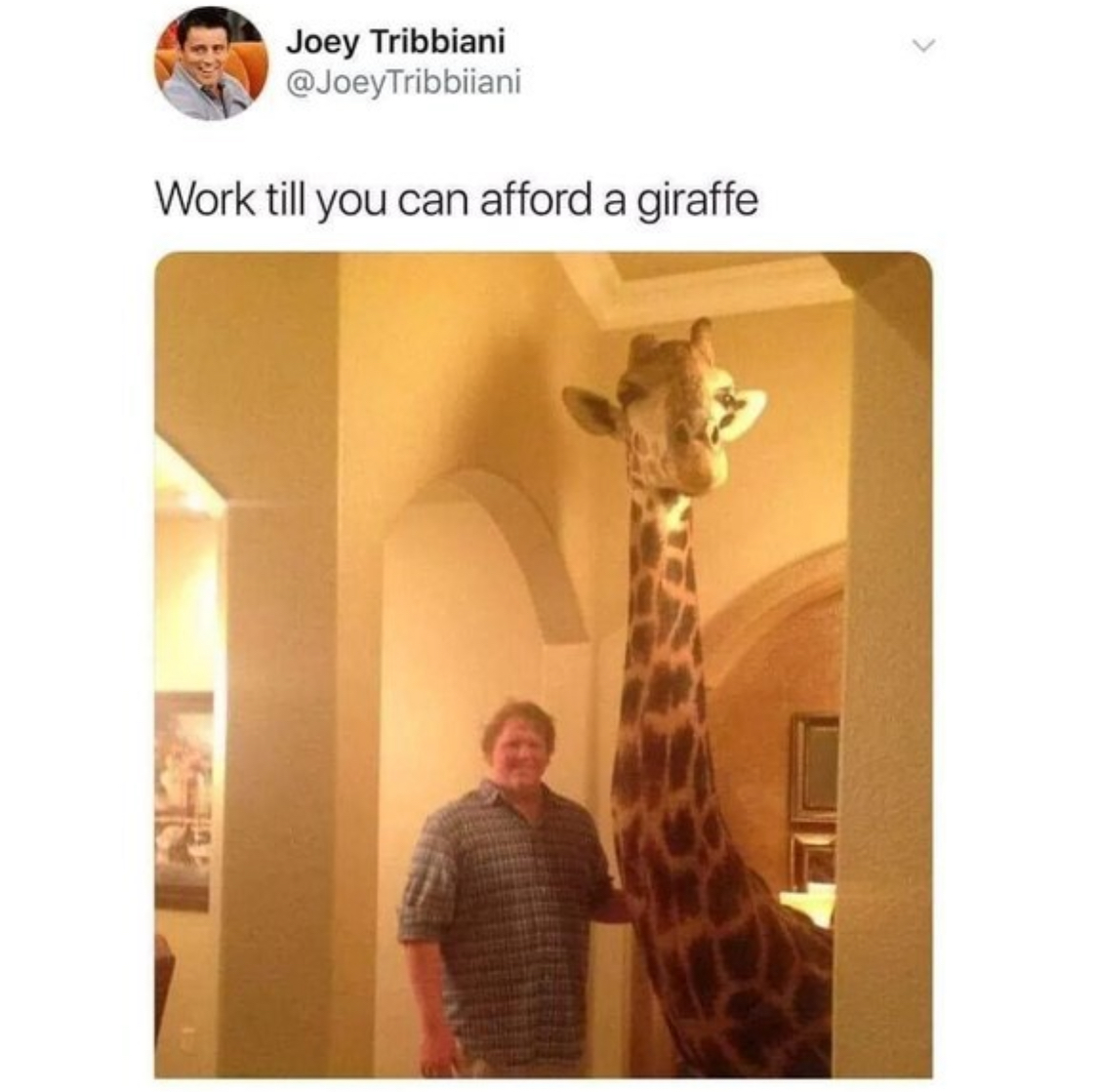 Funny pics and memes (2)