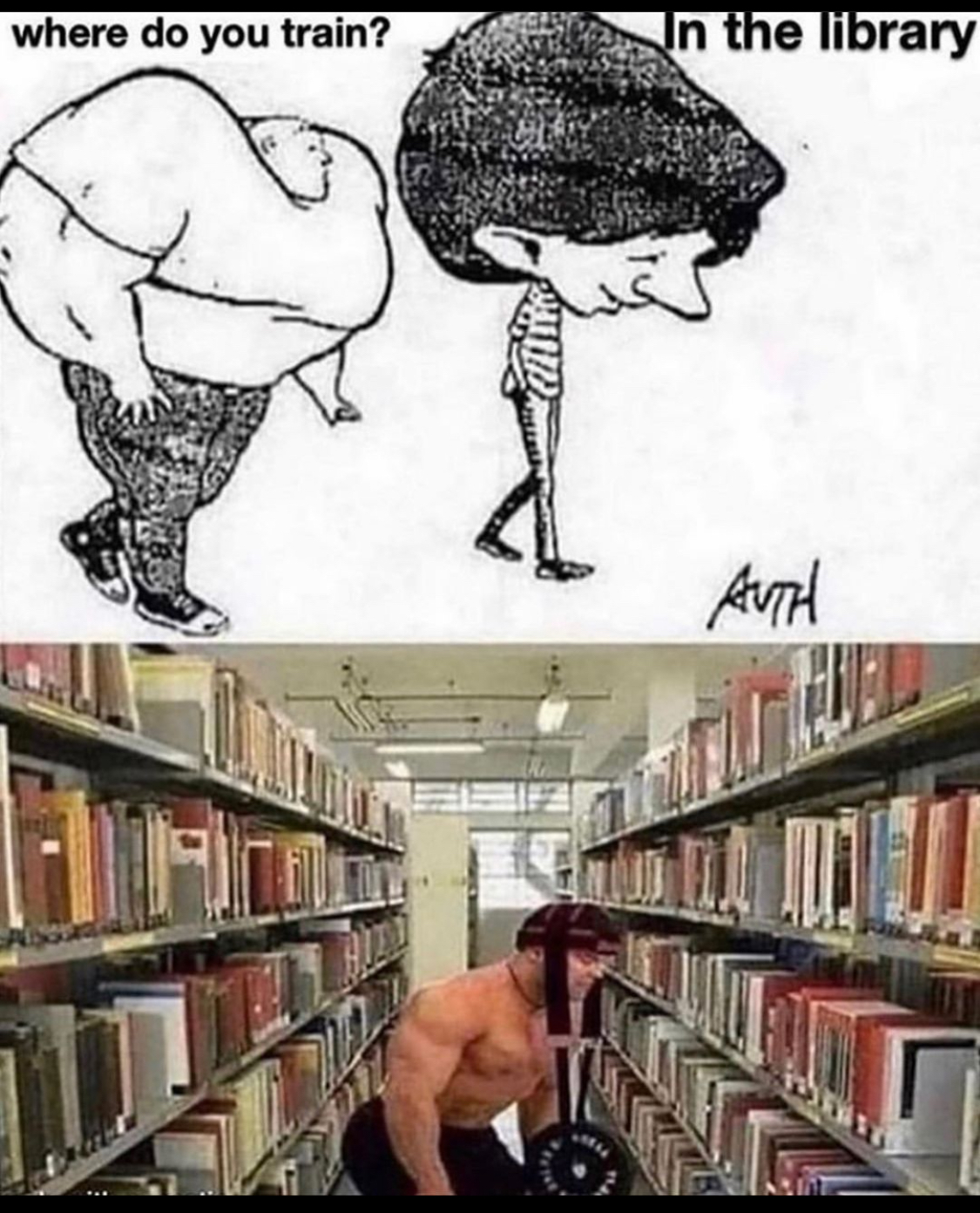 Funny pics and memes (2)