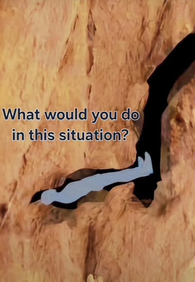 Funny pics and memes (16)