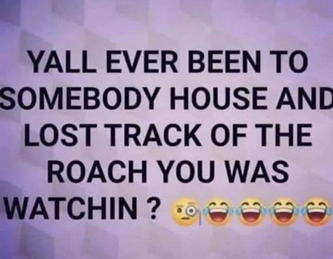 Funny pics and memes (16)