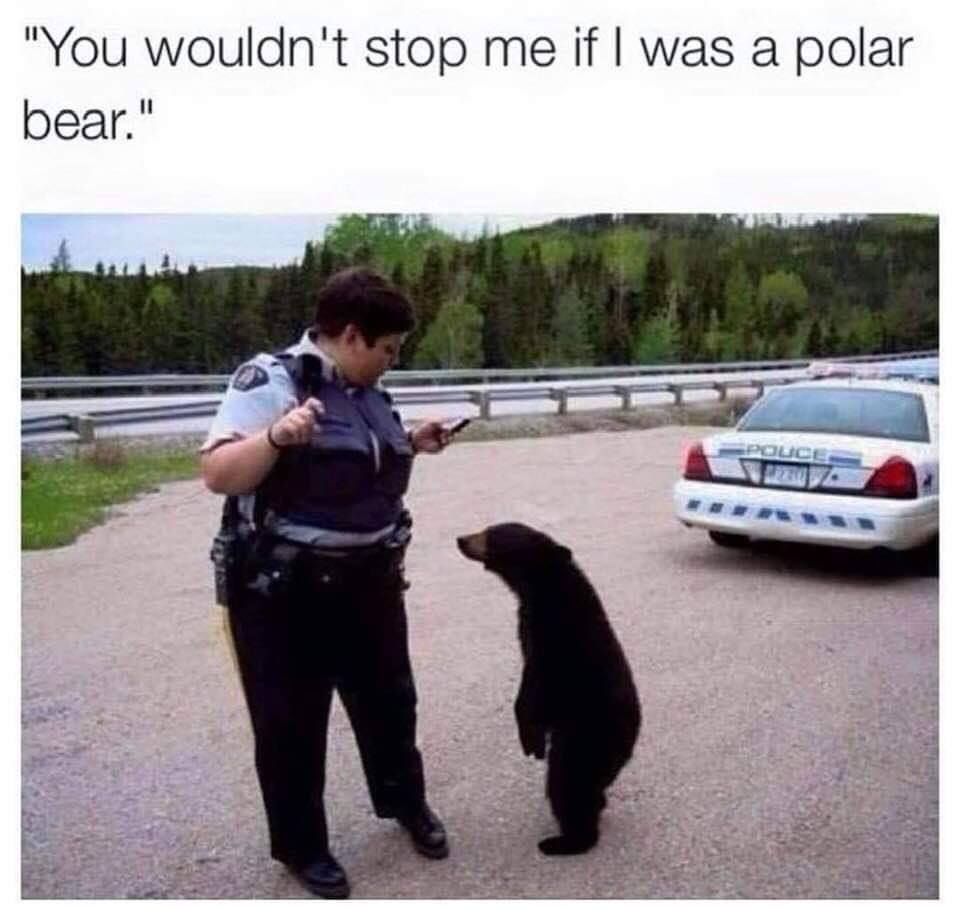 Funny pics and memes (5)