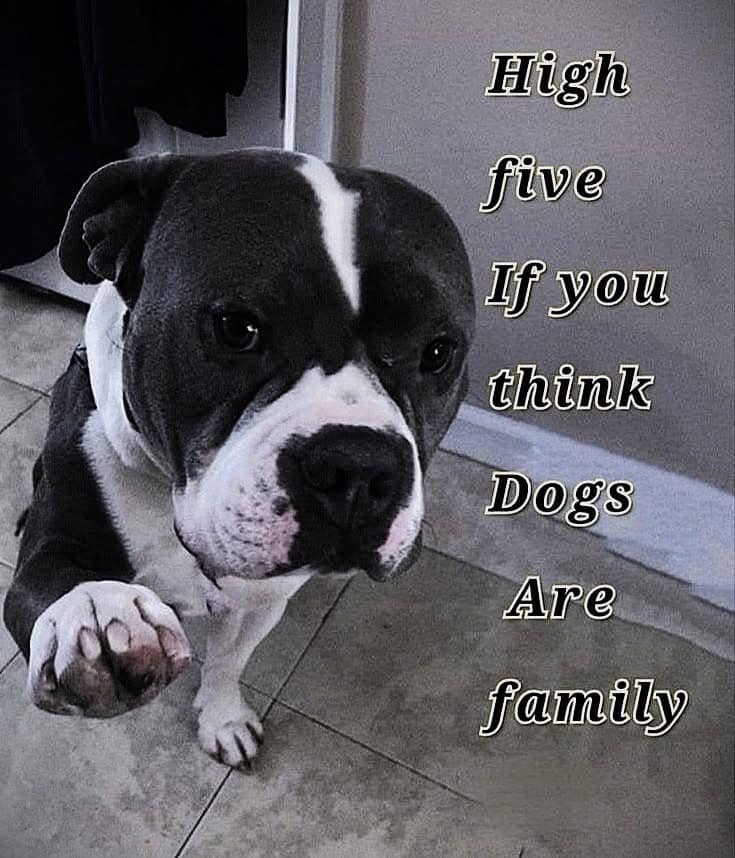 Funny pics and memes (5)