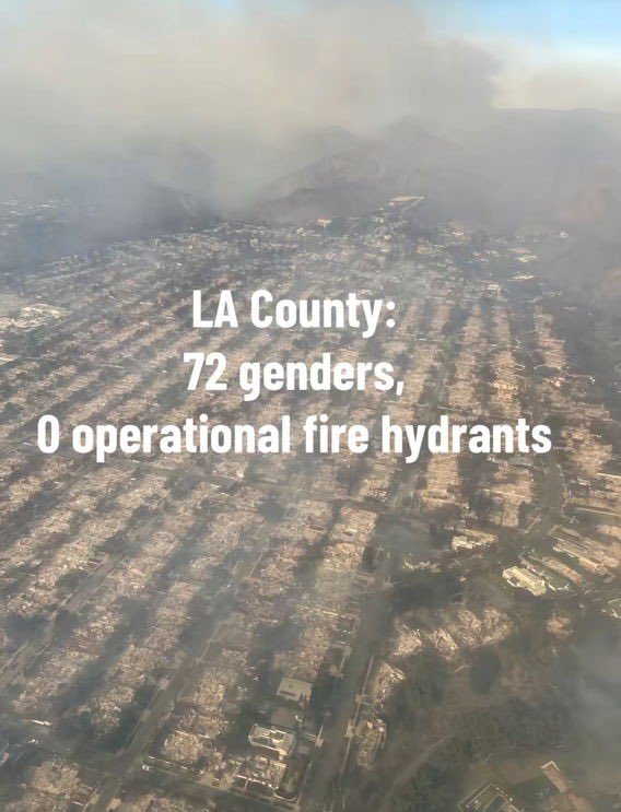 Funny pics and memes (4)