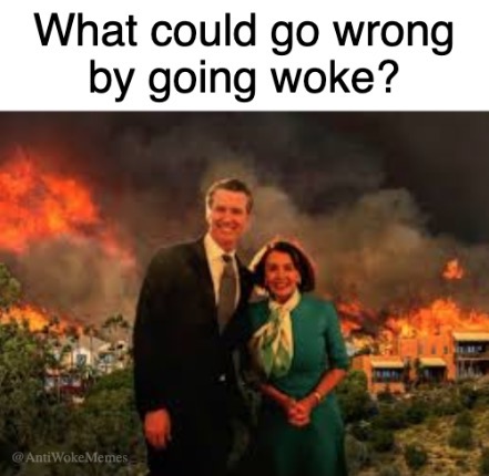 Funny pics and memes (4)