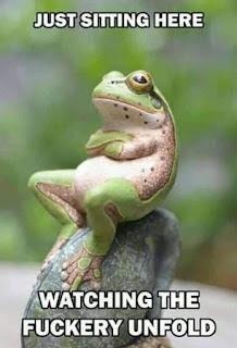 Funny pics and memes (4)