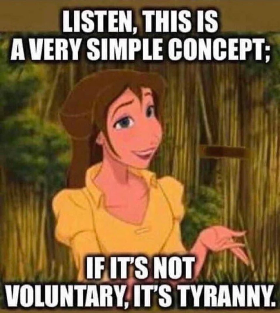 Funny pics and memes (4)