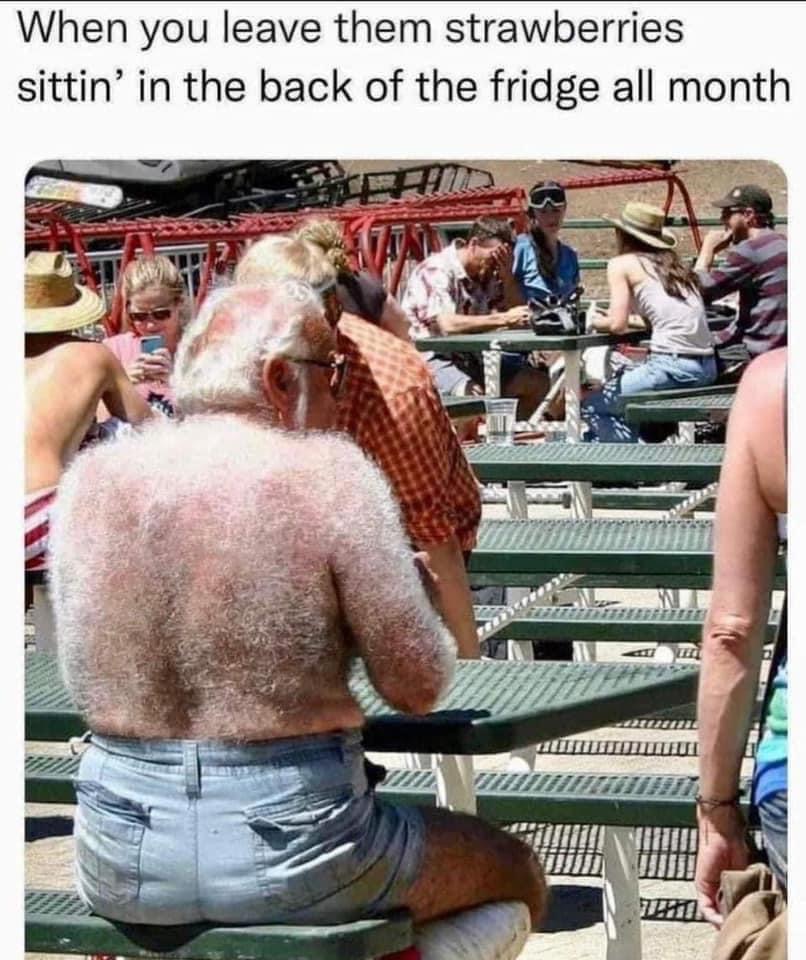 Funny pics and memes (15)