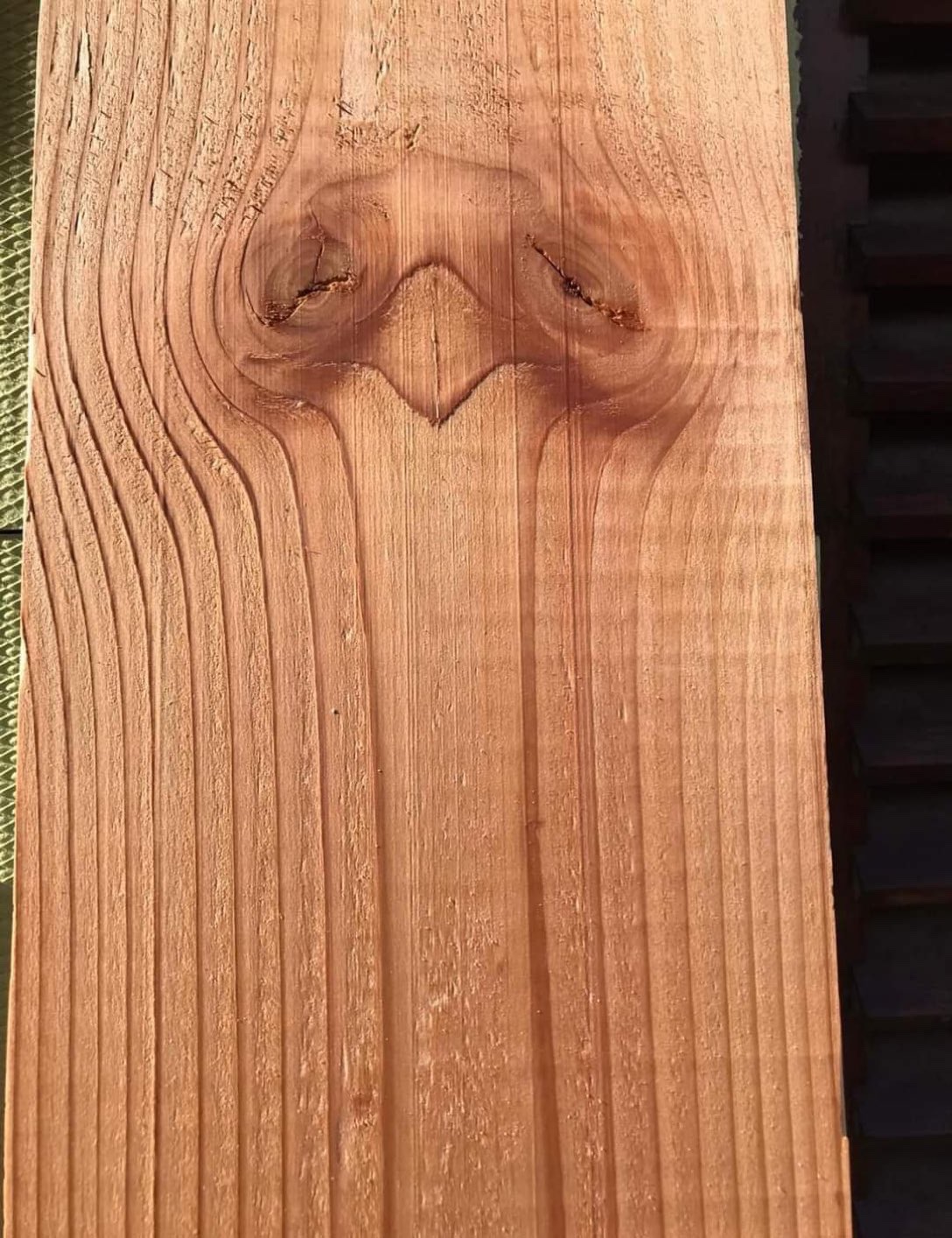 Funny pics and memes (15)