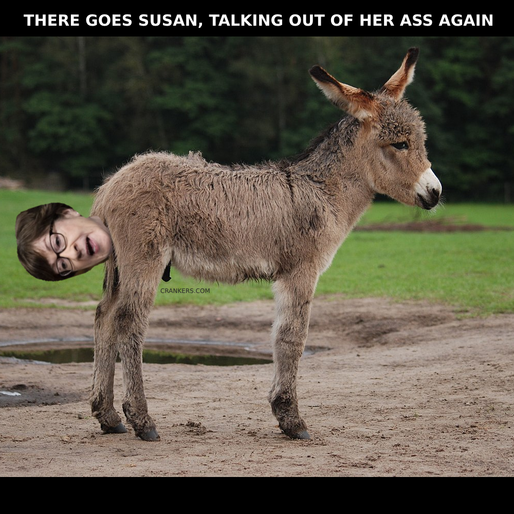 Funny pics and memes (22)