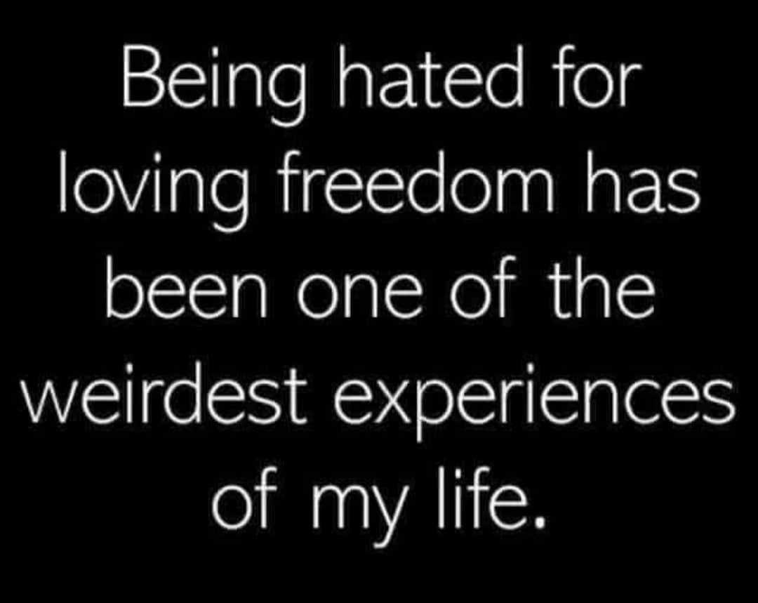 Funny pics and memes (7)