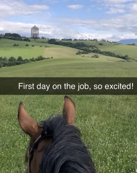 Funny pics and memes (14)