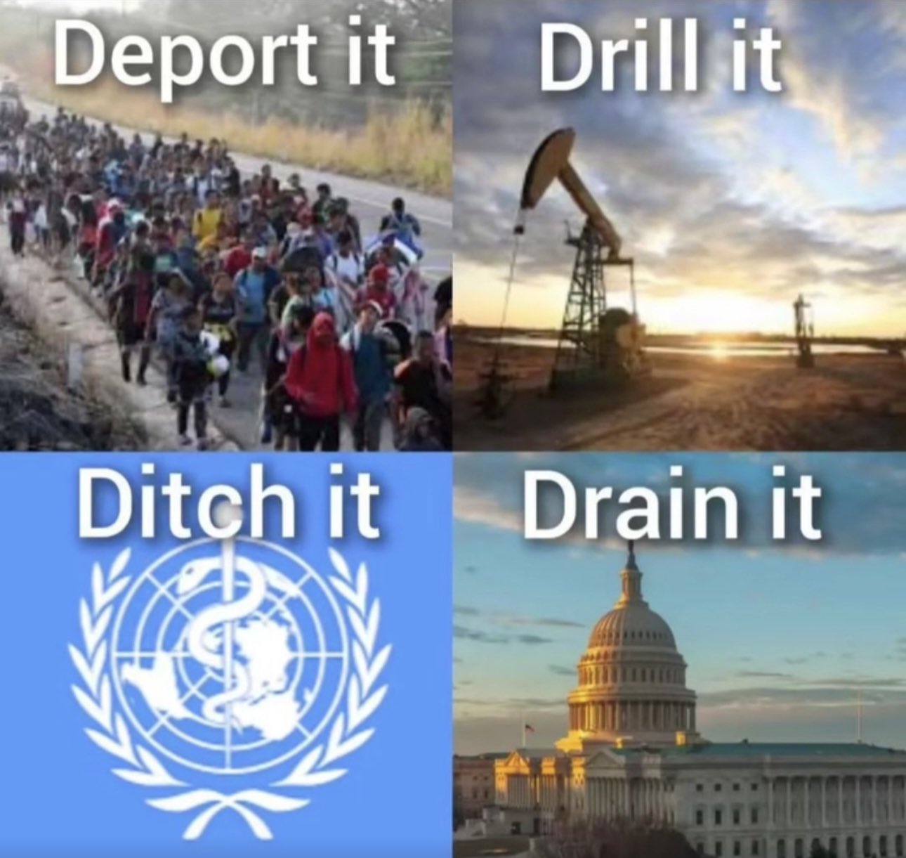 Funny pics and memes (10)