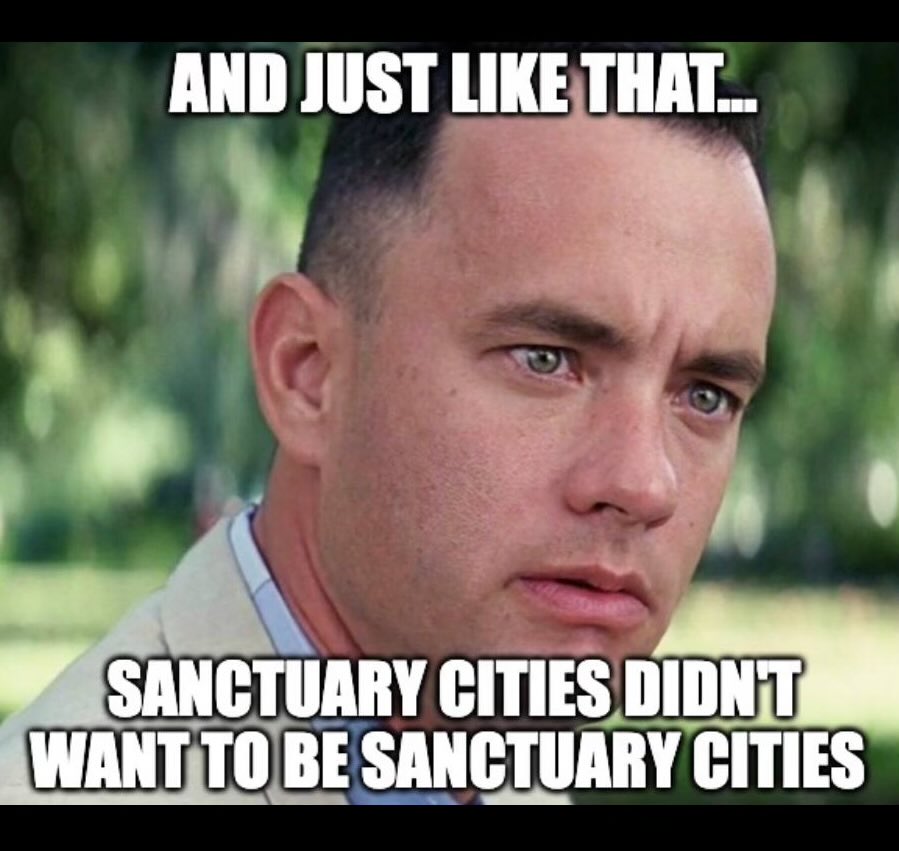 Funny pics and memes (10)