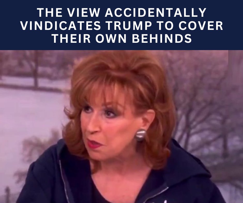 Political Memes (24)