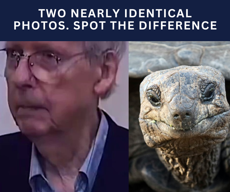 Political Memes (24)