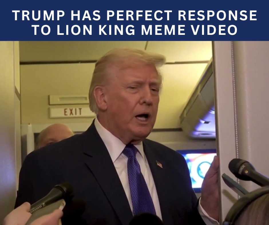 Political Memes (23)