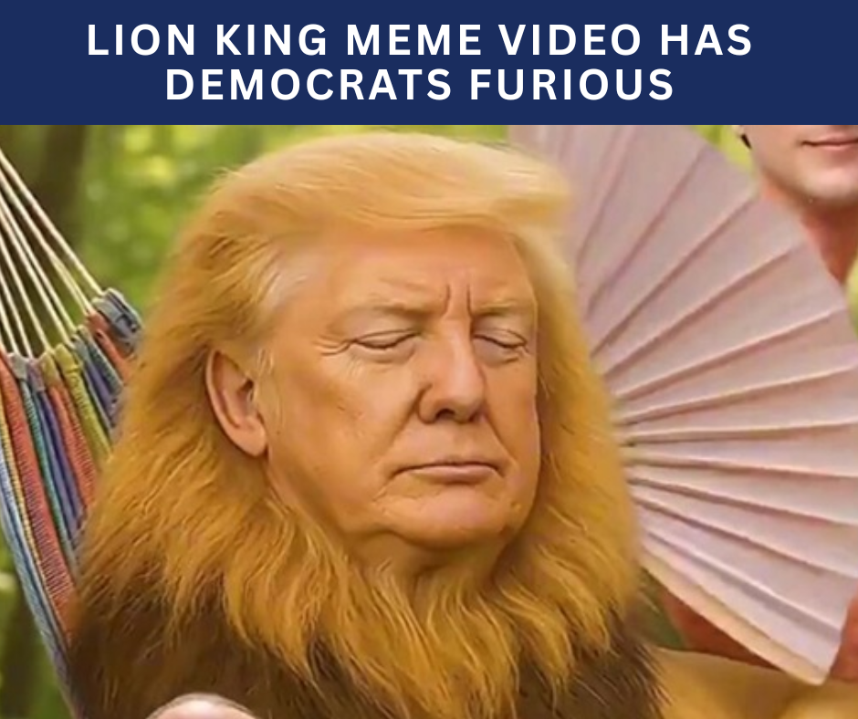 Political Memes (22)