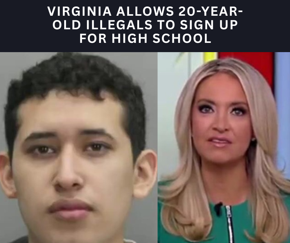 Political Memes (17)