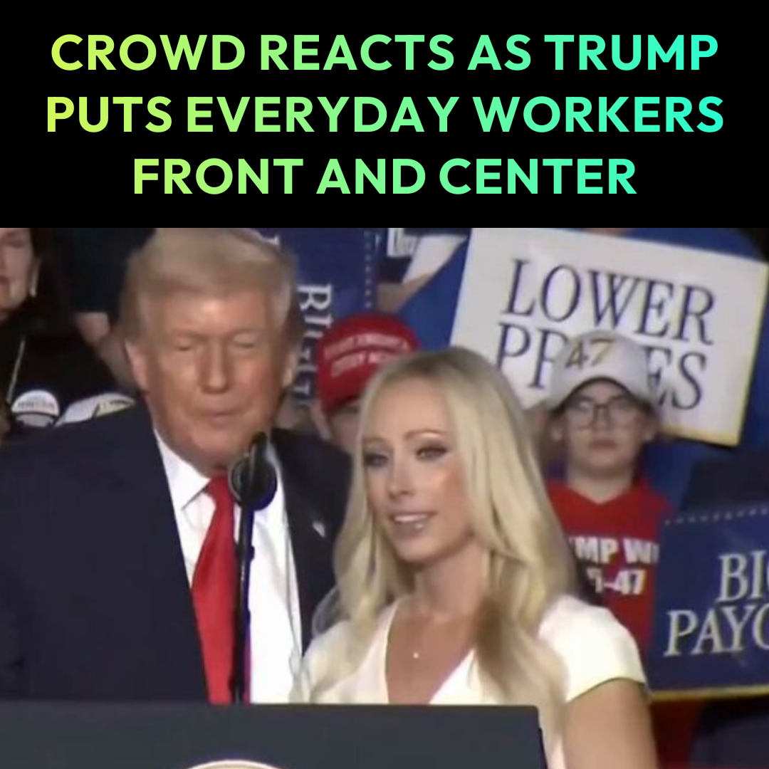 Political Memes (15)