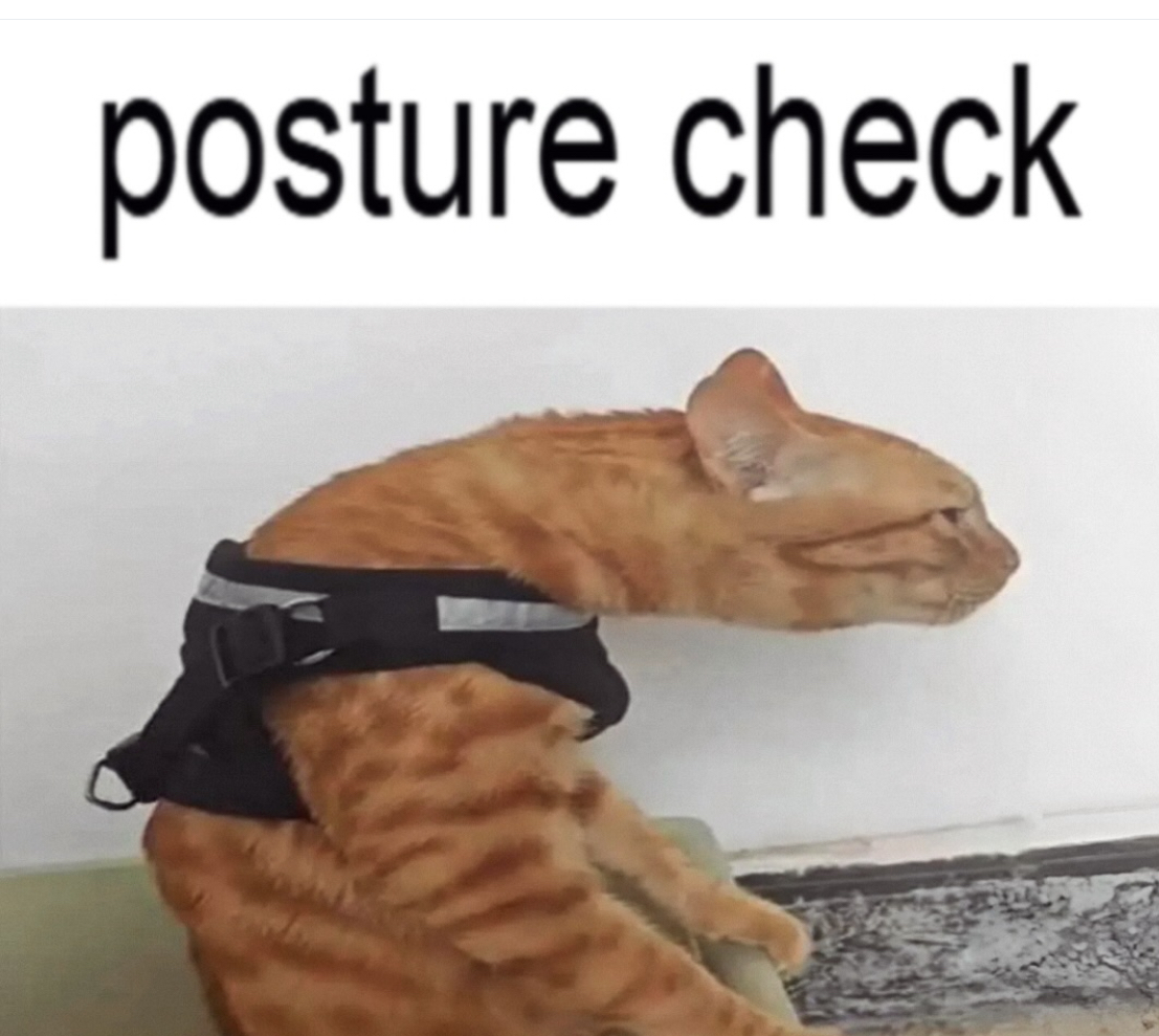 Funny pics and memes (17)